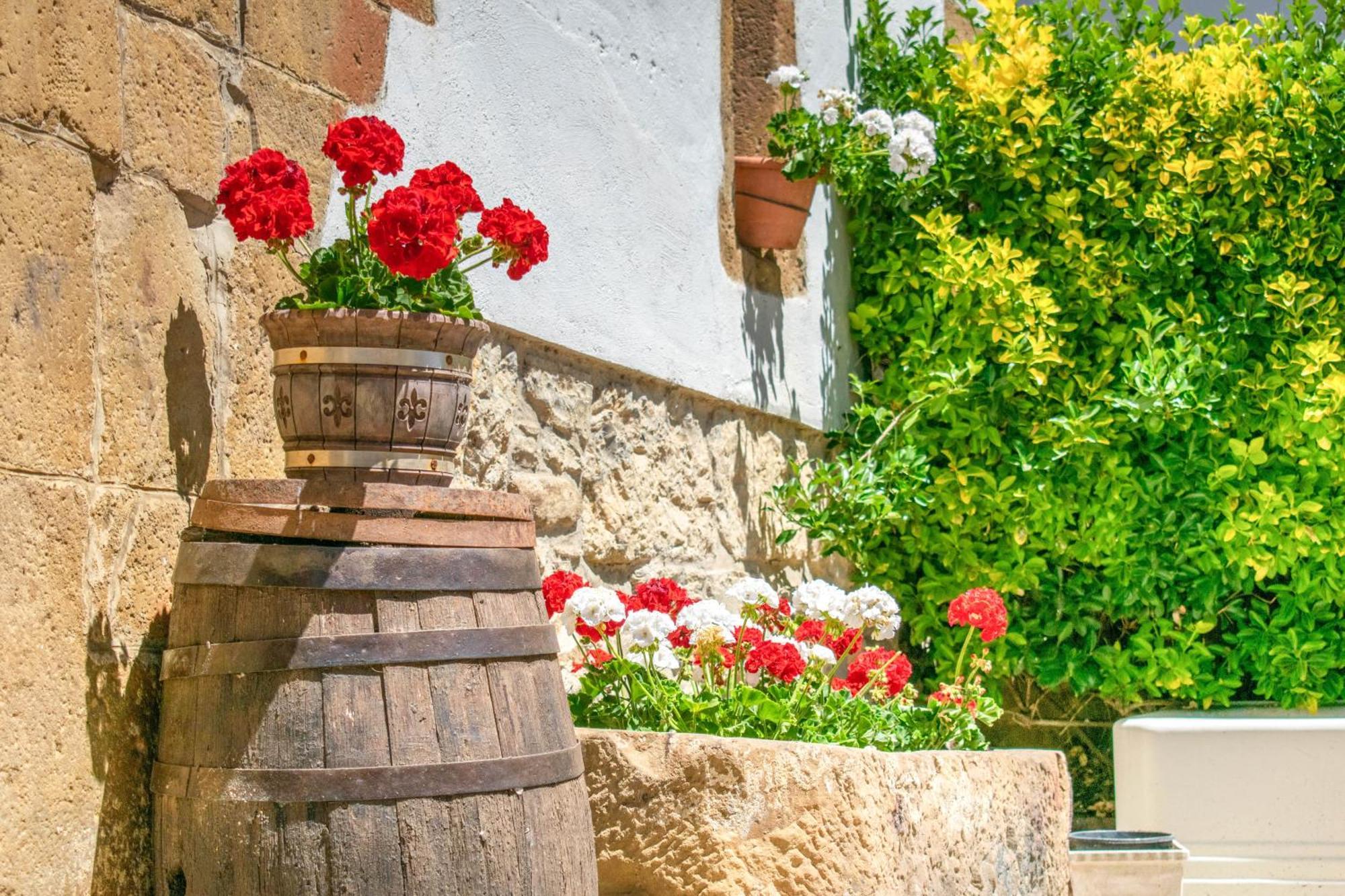 Casa Rural Arotzenia, Hogar Rustico En Pleno Valle De La Ulzama Lizaso المظهر الخارجي الصورة